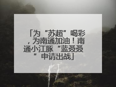 为“苏超”喝彩，为南通加油！南通小江豚“蓝叒叒”申请出战