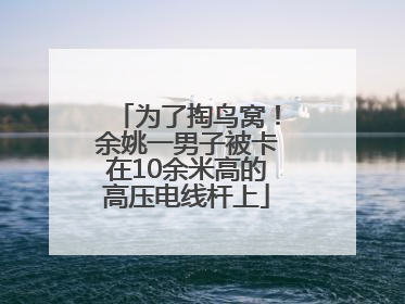 为了掏鸟窝！余姚一男子被卡在10余米高的高压电线杆上