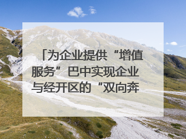 为企业提供“增值服务”巴中实现企业与经开区的“双向奔赴”｜川陕渝网络名人巴中行