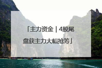 主力资金｜4股尾盘获主力大幅抢筹