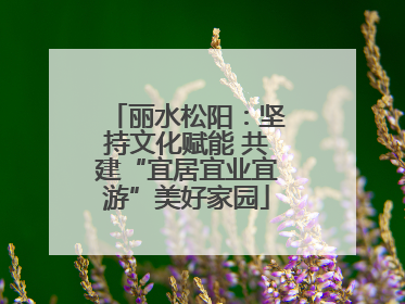 丽水松阳：坚持文化赋能 共建“宜居宜业宜游”美好家园