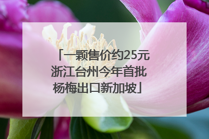 一颗售价约25元 浙江台州今年首批杨梅出口新加坡