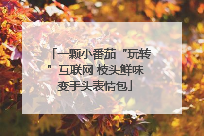 一颗小番茄“玩转”互联网 枝头鲜味变手头表情包