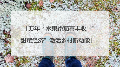 万年：水果番茄喜丰收 “甜蜜经济”激活乡村新动能