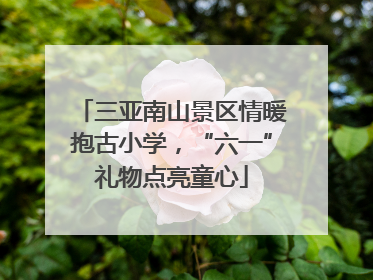 三亚南山景区情暖抱古小学，“六一”礼物点亮童心