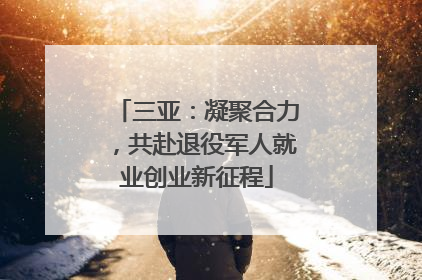 三亚：凝聚合力，共赴退役军人就业创业新征程