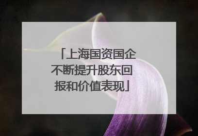 上海国资国企不断提升股东回报和价值表现