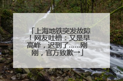 上海地铁突发故障！网友吐槽：又是早高峰，迟到了……刚刚，官方致歉→