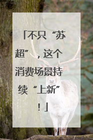不只“苏超”，这个消费场景持续“上新”！