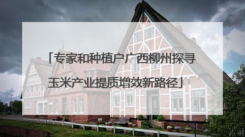专家和种植户广西柳州探寻玉米产业提质增效新路径