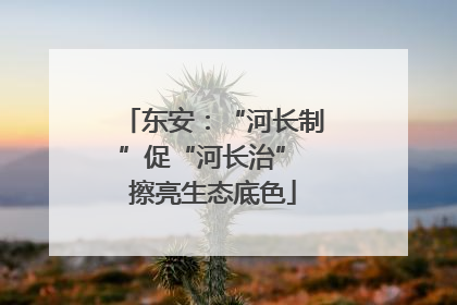 东安：“河长制”促“河长治” 擦亮生态底色