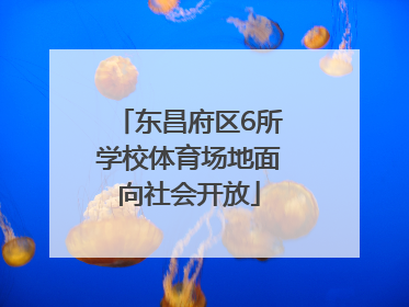 东昌府区6所学校体育场地面向社会开放