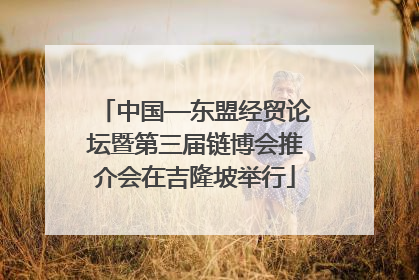 中国—东盟经贸论坛暨第三届链博会推介会在吉隆坡举行