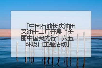中国石油长庆油田采油十二厂开展“美丽中国我先行”六五环境日主题活动