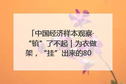中国经济样本观察·“镇”了不起｜为衣做架，“挂”出来的80亿元“衣架产业”