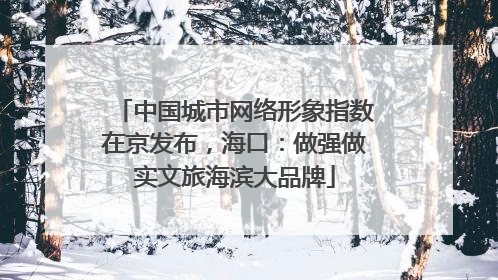 中国城市网络形象指数在京发布，海口：做强做实文旅海滨大品牌
