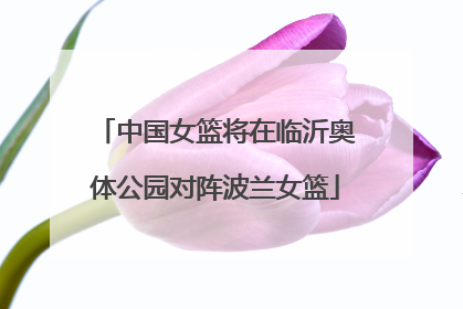 中国女篮将在临沂奥体公园对阵波兰女篮