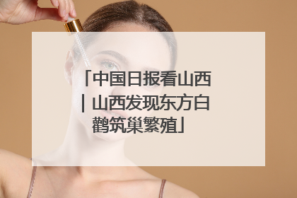 中国日报看山西｜山西发现东方白鹳筑巢繁殖