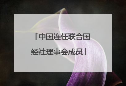 中国连任联合国经社理事会成员