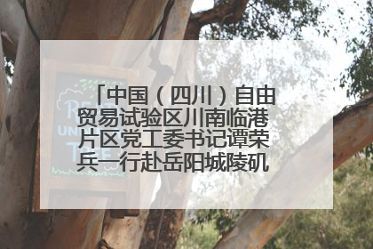 中国（四川）自由贸易试验区川南临港片区党工委书记谭荣兵一行赴岳阳城陵矶综保区考察