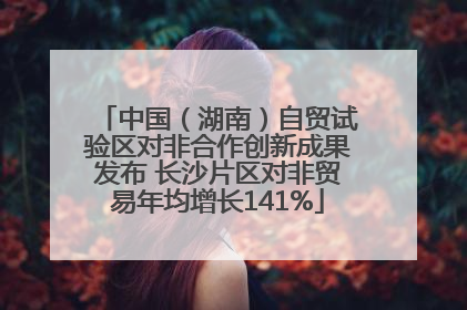 中国（湖南）自贸试验区对非合作创新成果发布 长沙片区对非贸易年均增长141%