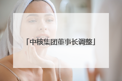 中核集团董事长调整