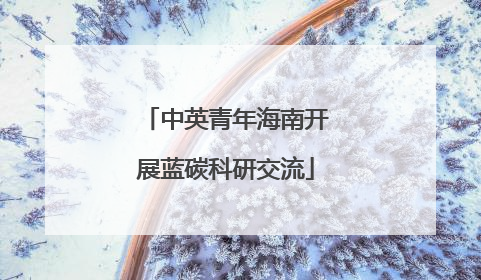 中英青年海南开展蓝碳科研交流