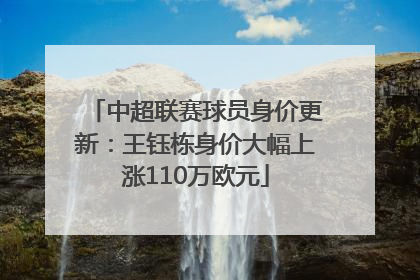 中超联赛球员身价更新：王钰栋身价大幅上涨110万欧元