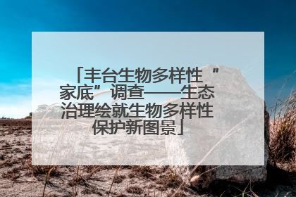 丰台生物多样性“家底”调查——生态治理绘就生物多样性保护新图景