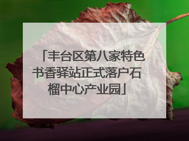 丰台区第八家特色书香驿站正式落户石榴中心产业园