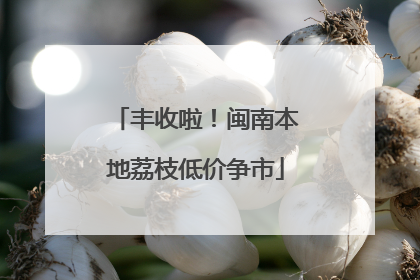 丰收啦！闽南本地荔枝低价争市