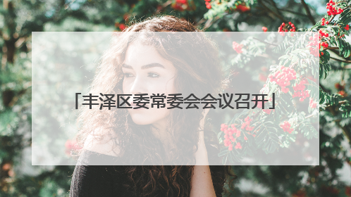 丰泽区委常委会会议召开