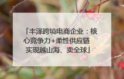 丰泽跨境电商企业：核心竞争力+柔性供应链 实现越山海、卖全球