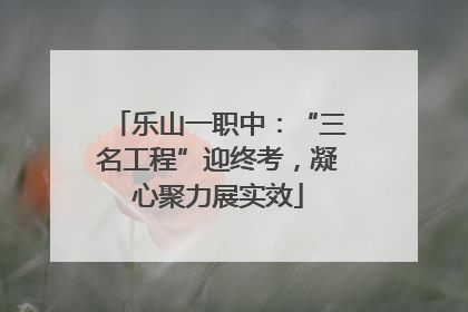 乐山一职中：“三名工程”迎终考，凝心聚力展实效