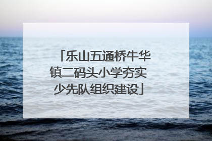 乐山五通桥牛华镇二码头小学夯实少先队组织建设
