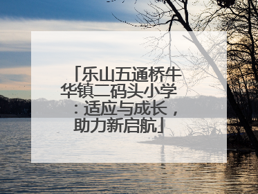 乐山五通桥牛华镇二码头小学：适应与成长，助力新启航