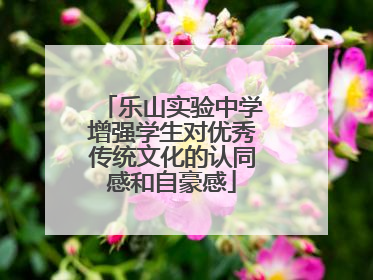 乐山实验中学增强学生对优秀传统文化的认同感和自豪感