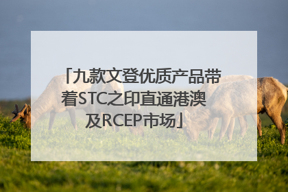 九款文登优质产品带着STC之印直通港澳及RCEP市场