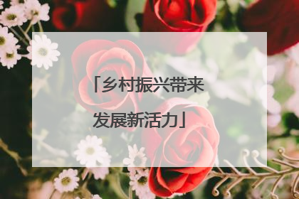 乡村振兴带来发展新活力