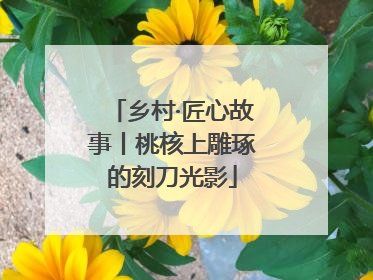 乡村·匠心故事丨桃核上雕琢的刻刀光影