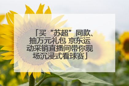 买“苏超”同款、抽万元礼包 京东运动采销直播间带你现场沉浸式看球赛