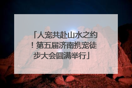 人宠共赴山水之约！第五届济南携宠徒步大会圆满举行