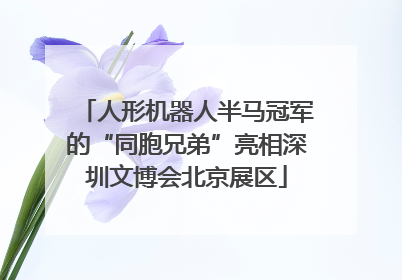 人形机器人半马冠军的“同胞兄弟”亮相深圳文博会北京展区