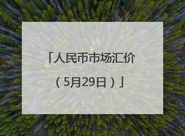 人民币市场汇价（5月29日）