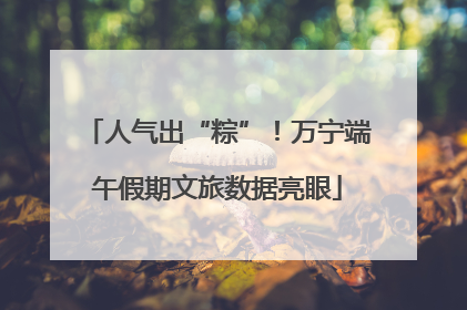人气出“粽”！万宁端午假期文旅数据亮眼