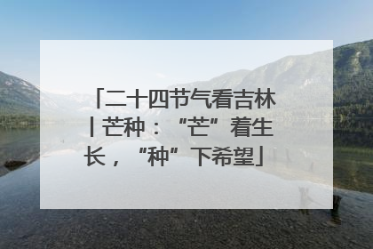 二十四节气看吉林丨芒种：“芒”着生长，“种”下希望
