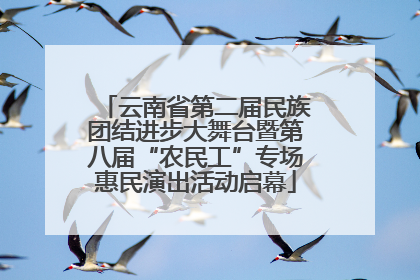 云南省第二届民族团结进步大舞台暨第八届“农民工”专场惠民演出活动启幕
