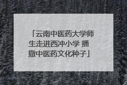 云南中医药大学师生走进西冲小学 播撒中医药文化种子