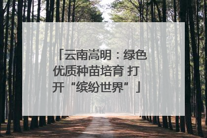 云南嵩明：绿色优质种苗培育 打开“缤纷世界”