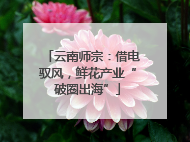 云南师宗：借电驭风，鲜花产业“破圈出海”